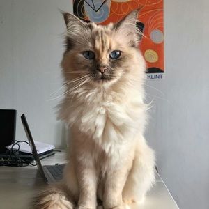 Meet your Posher, Juli